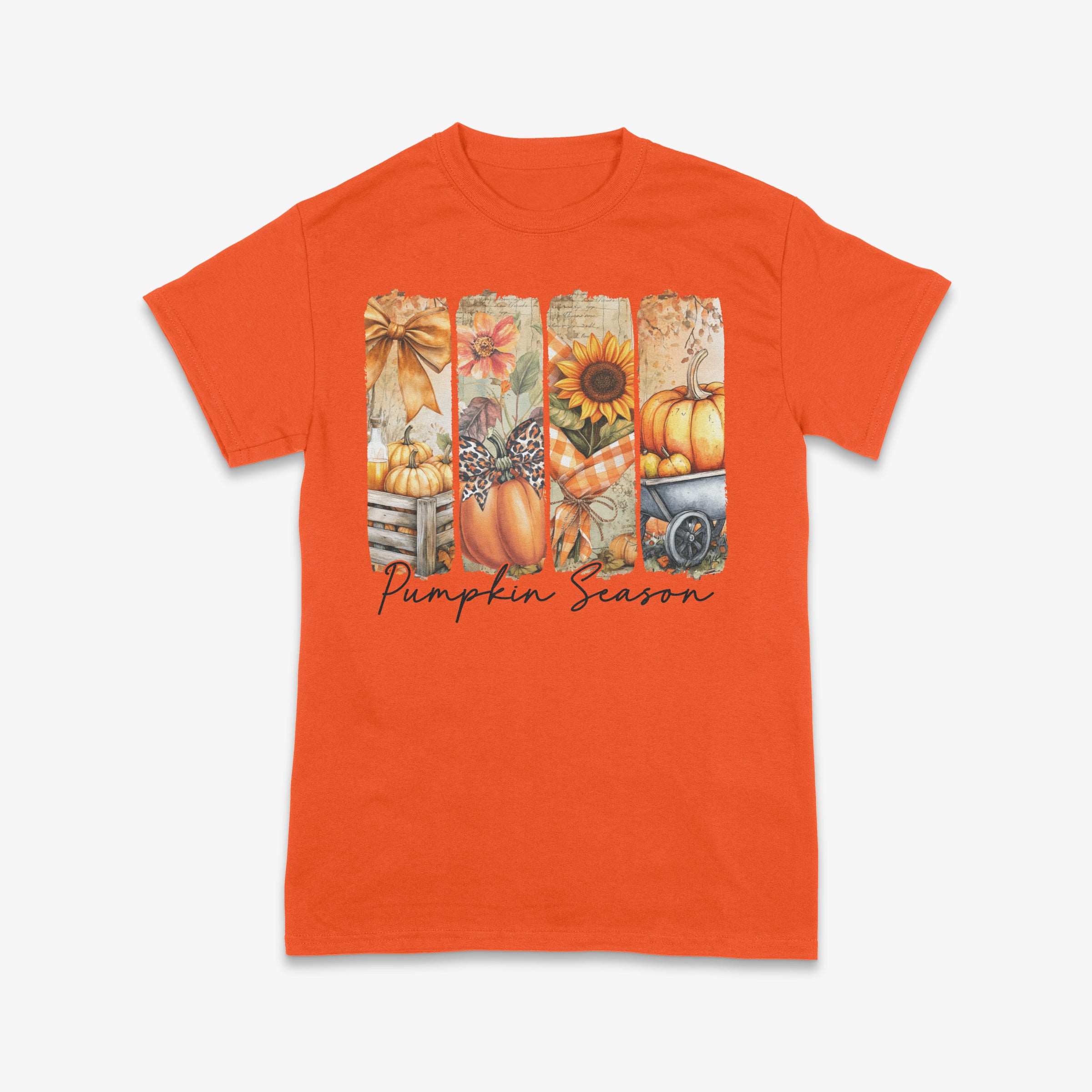 Pumpkin Season Vibes