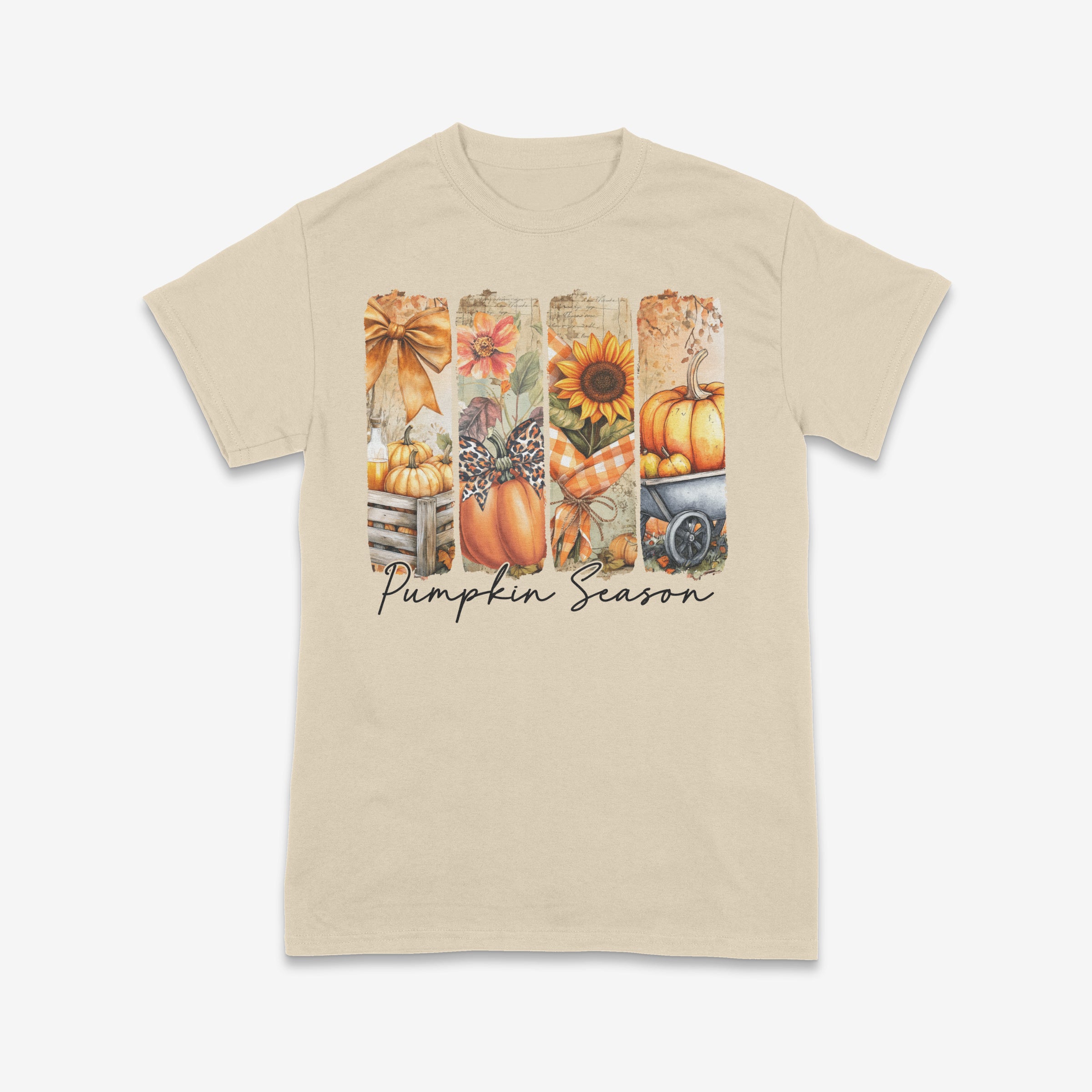 Pumpkin Season Vibes